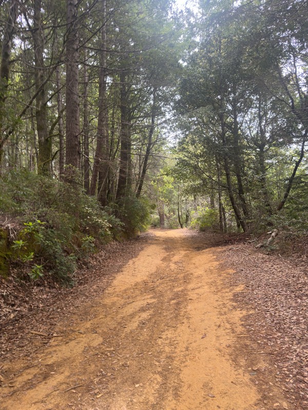 Usal Road Trail Review Photo