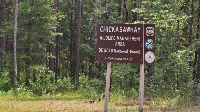 Strickland Road Trail Review Photo