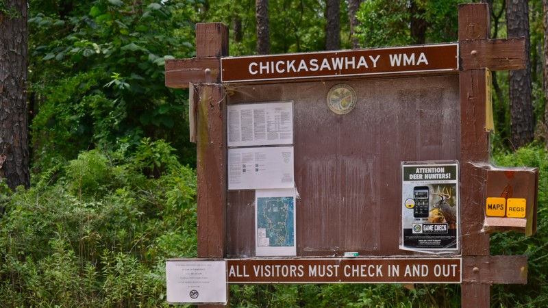 Strickland Road Trail Review Photo