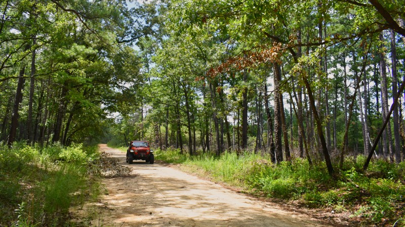 Pine Grove Road Trail Review Photo