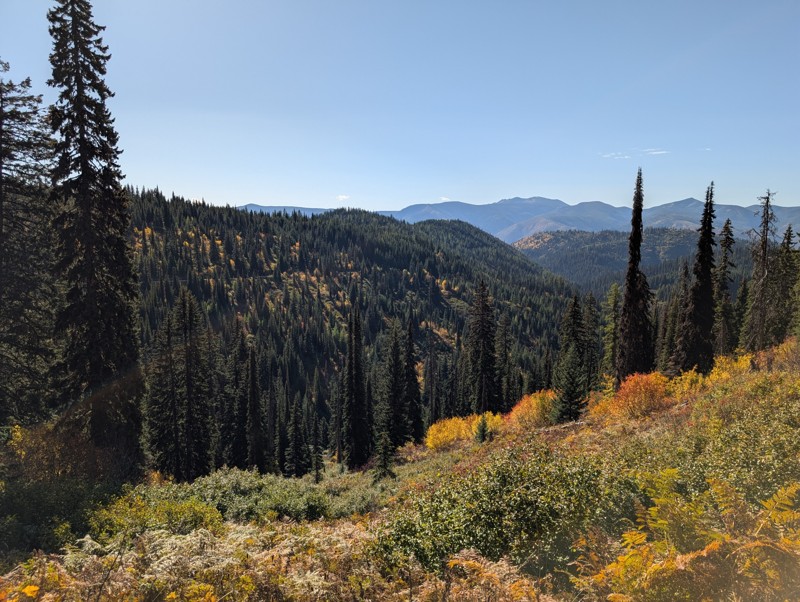 Lolo Motorway Trail Review Photo