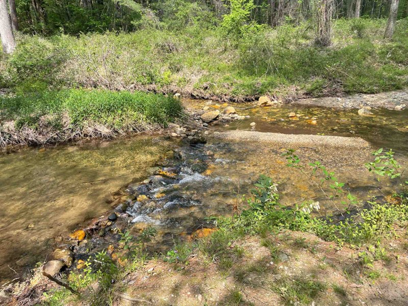 Sarah’s Creek Trail Review Photo