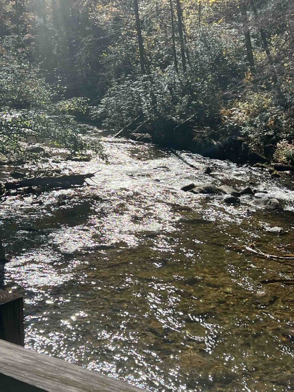 Sarah’s Creek Trail Review Photo