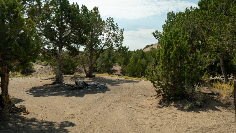 Cochran Spring Road Trail Review Photo
