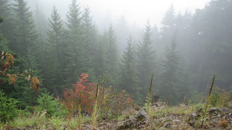 Divide Ridge Trail Review Photo