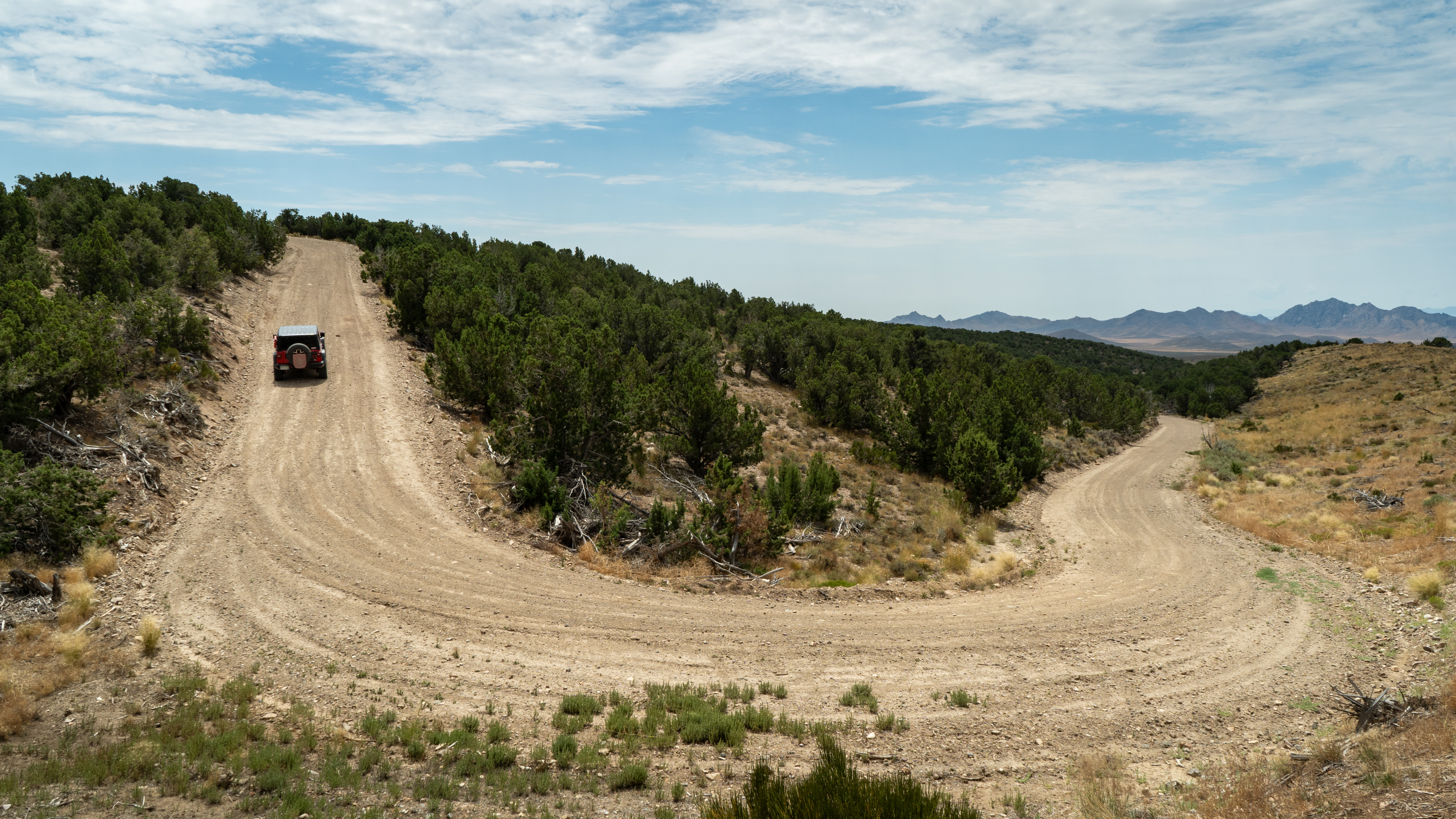 Ericson Knoll - Beginner Trails