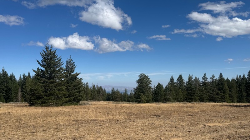 Barber Springs Road Trail Review Photo