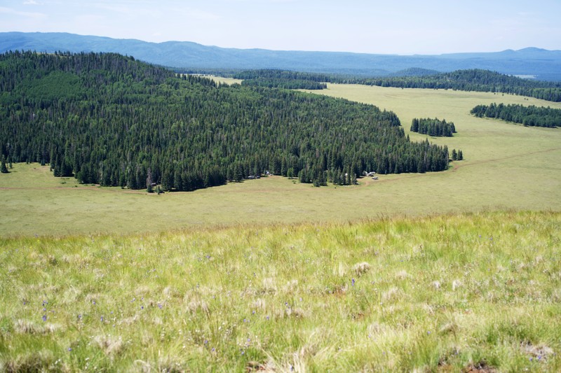 Greens Peak Lookout Trail Review Photo