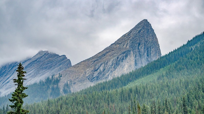Redburn Creek Road Trail Review Photo