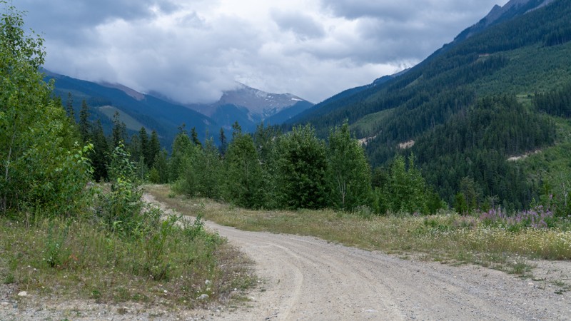 Redburn Creek Road Trail Review Photo