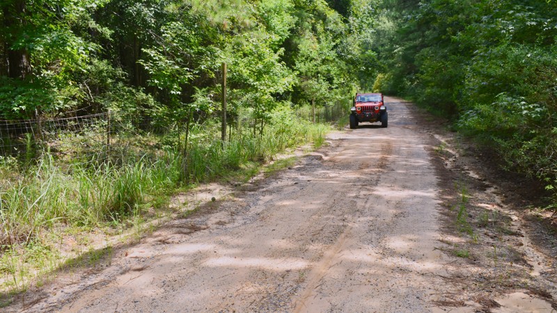 Mississippi: Tiger Road Hero Photo