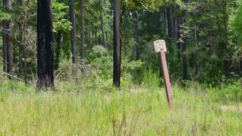 Tiger Road Trail Review Photo