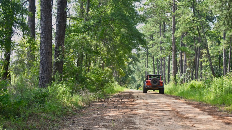 Mississippi: Musgrove Road Hero Photo