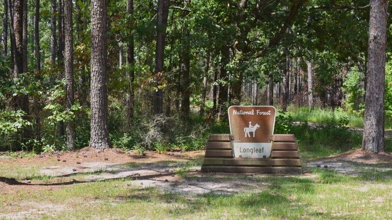 Musgrove Road Trail Review Photo