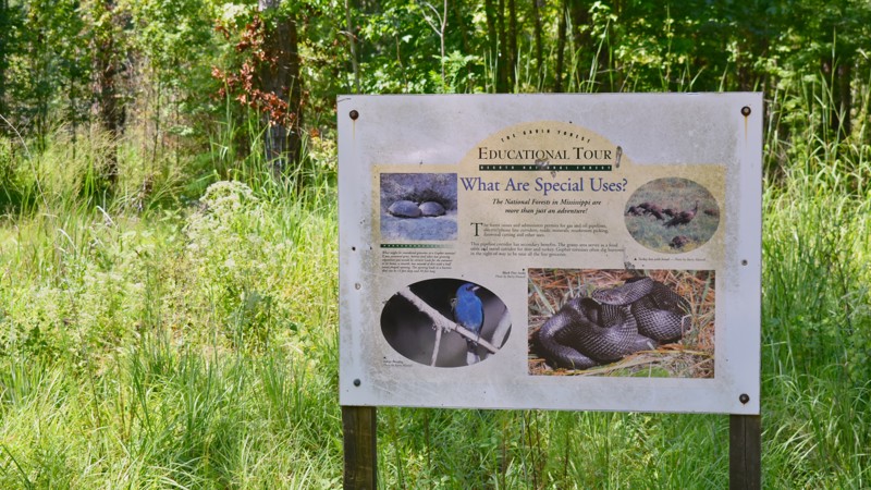 Musgrove Road Trail Review Photo