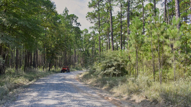 Mississippi: Gavin Road Hero Photo