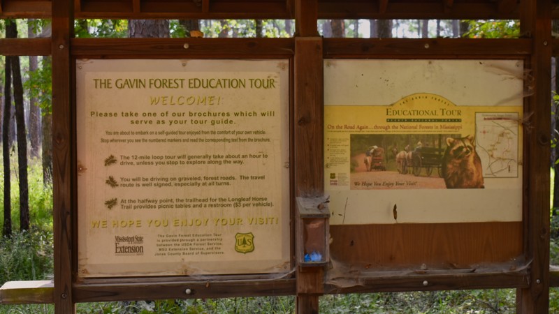 Gavin Road Trail Review Photo