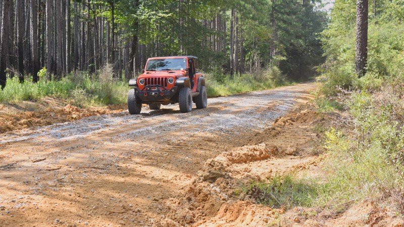 Gavin Road Trail Review Photo