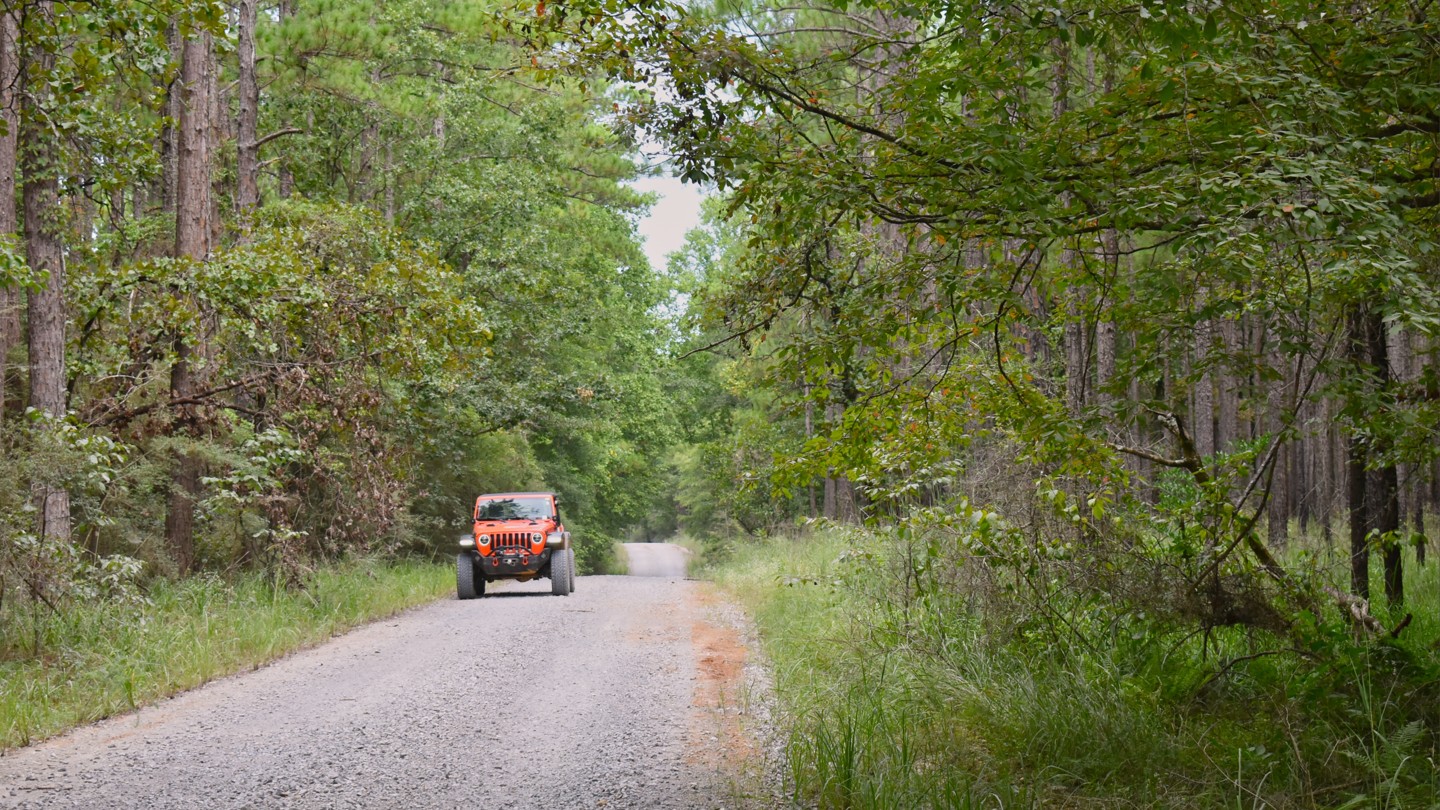 Short Cut Road - Best Trails