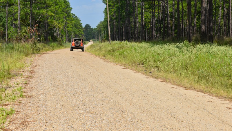 Mississippi: Boutwell Road Hero Photo