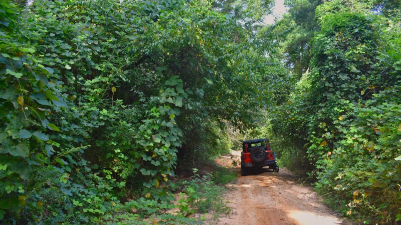 Boutwell Road Trail Review Photo