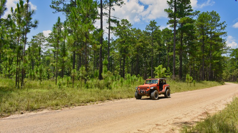 Mississippi: Salem Road Hero Photo