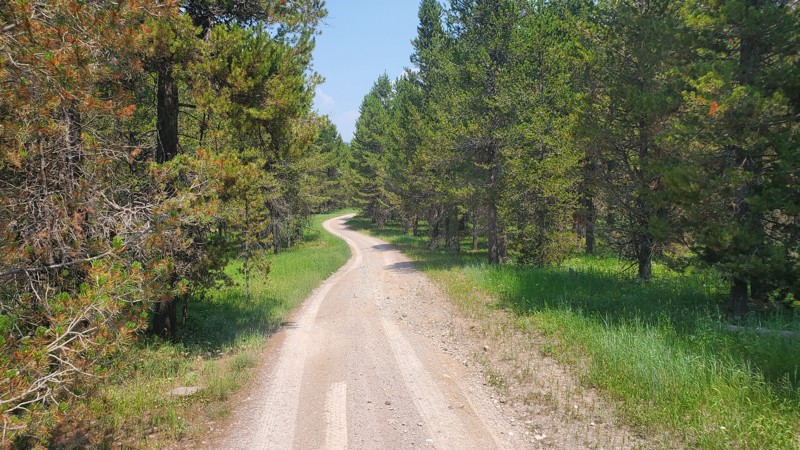 Idaho: Lyle Springs Stock Driveway Hero Photo