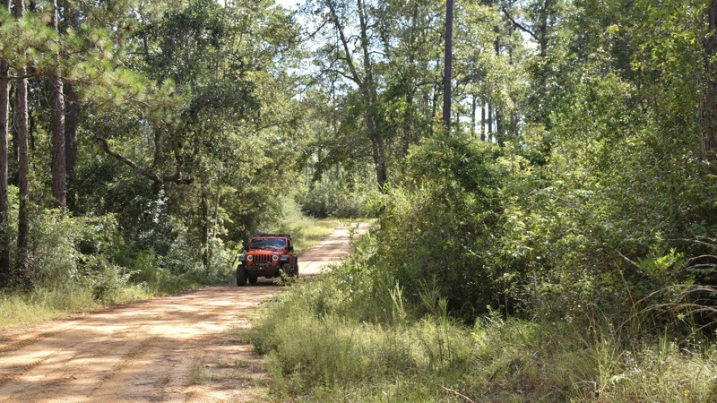 Mississippi: North Cable Bridge Road Hero Photo