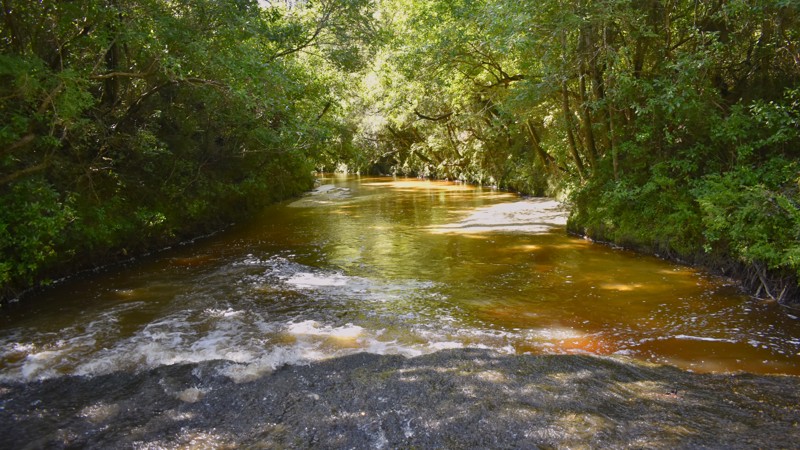 North Cable Bridge Road Trail Review Photo