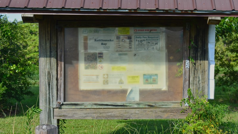 FR 312 Trail Review Photo