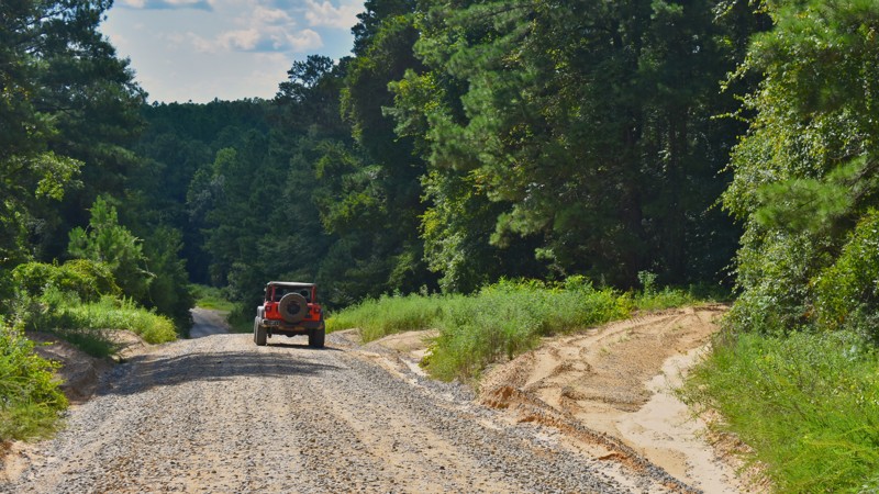 Mississippi: North Tank Trail Hero Photo