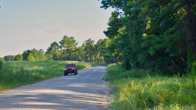 Mississippi: Grapevine Road Hero Photo