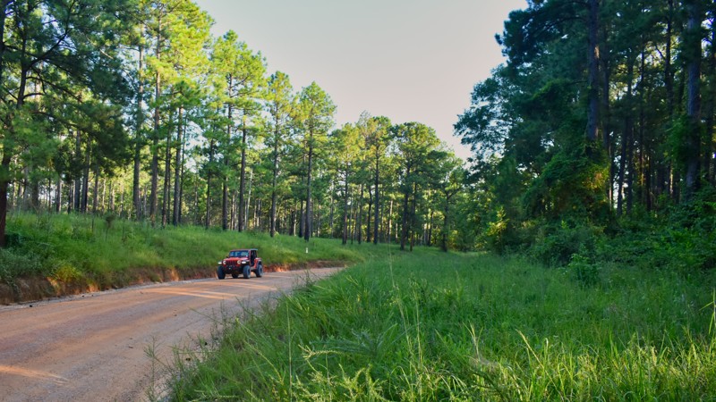 Grapevine Road Trail Review Photo