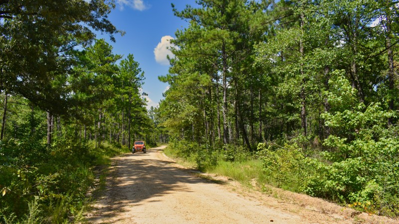 Mississippi: FR 369A Hero Photo