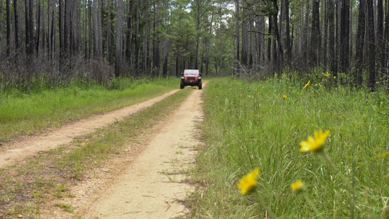 Mississippi: FR 420B Hero Photo