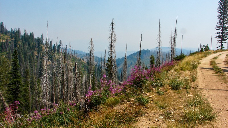 Idaho: High Quartz Hero Photo