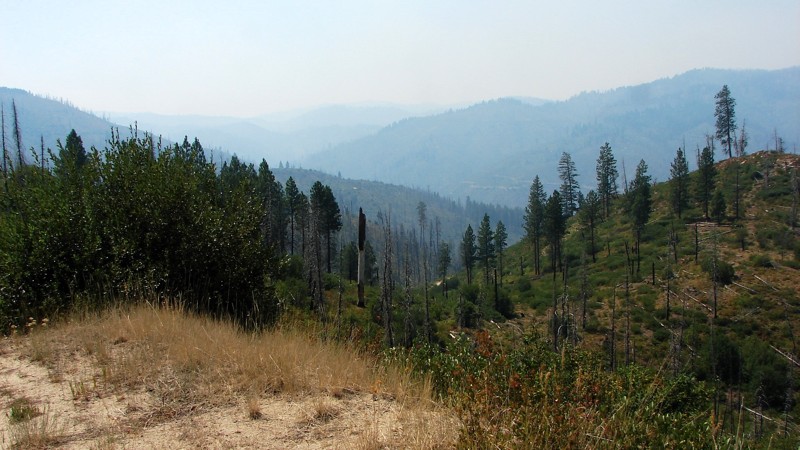 Idaho: Rock Creek Hero Photo