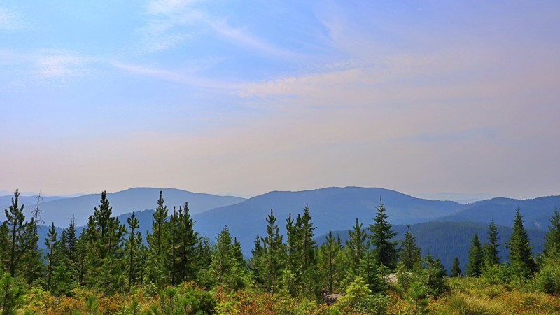 Weitas Butte Lookout Trail Review Photo