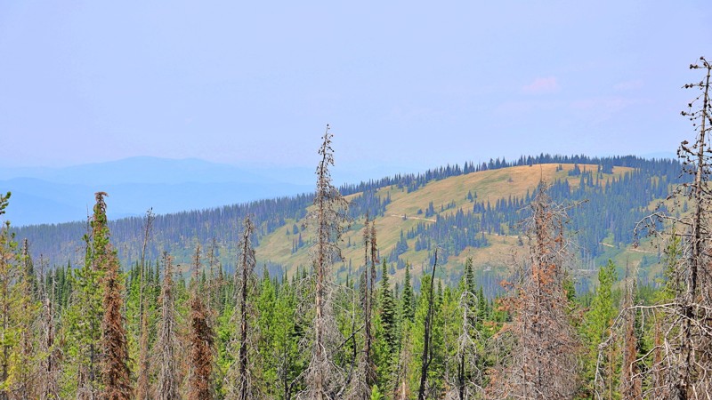 Castle Butte Lookout Trail Review Photo