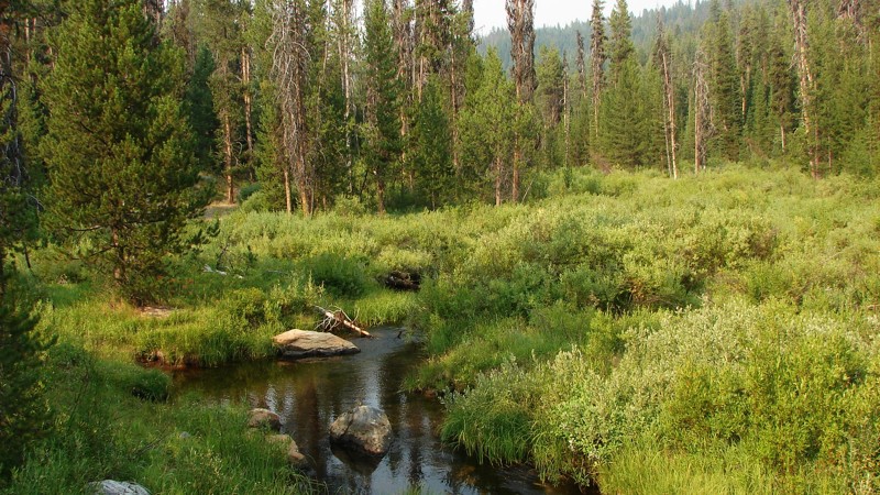 Wilson Creek Road Trail Review Photo