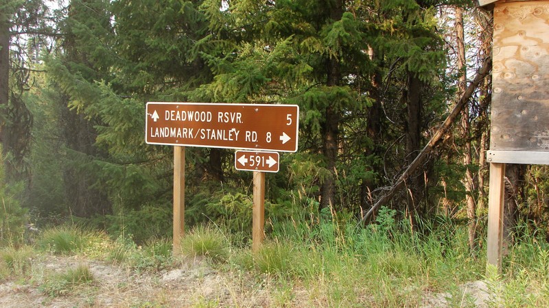 Wilson Creek Road Trail Review Photo