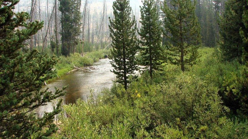 Johnson Creek Road Trail Review Photo