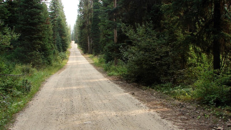 Big Creek Road Trail Review Photo