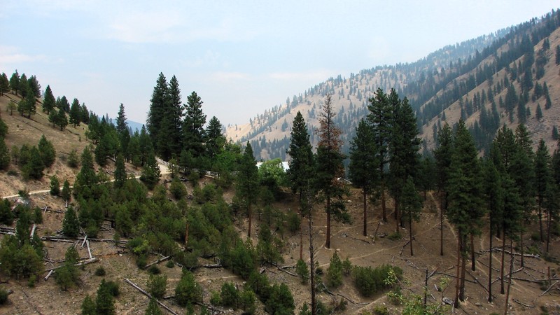 Idaho: Elk Creek Road Hero Photo