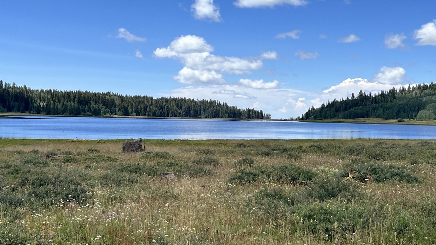 Flowing Park - Best Trails