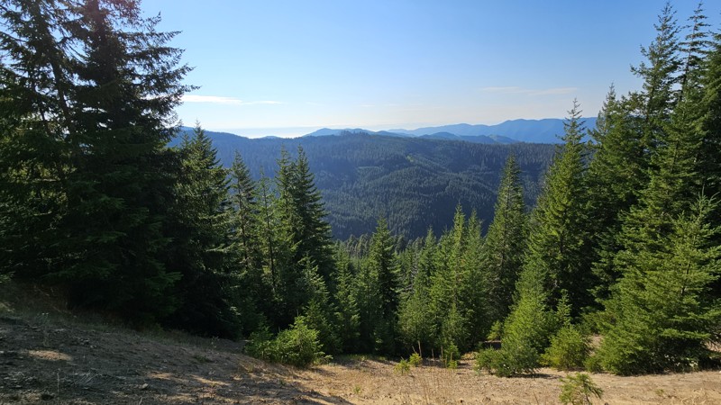 Washington: Olympic National Forest - 2931 Hero Photo