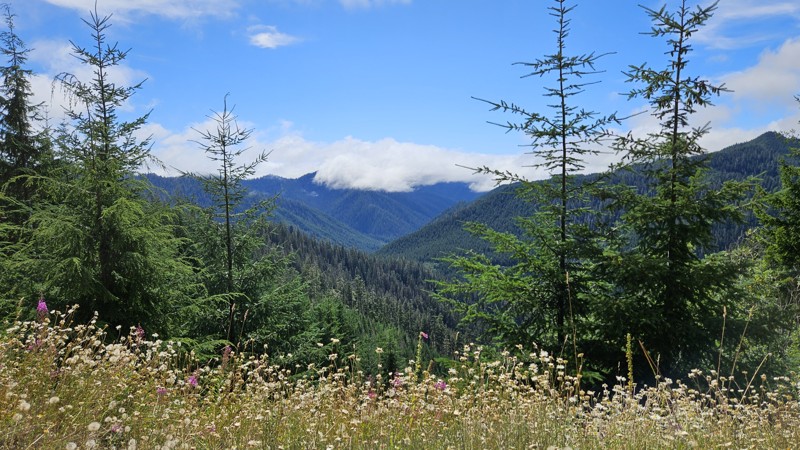 Washington: Sitkum Sol Duc Road Hero Photo