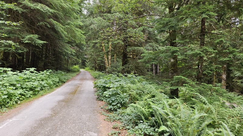 Washington: South Fork Sol Duc Road Hero Photo