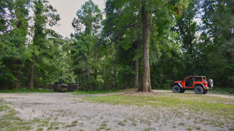 Pascagoula WMA North Trail Review Photo