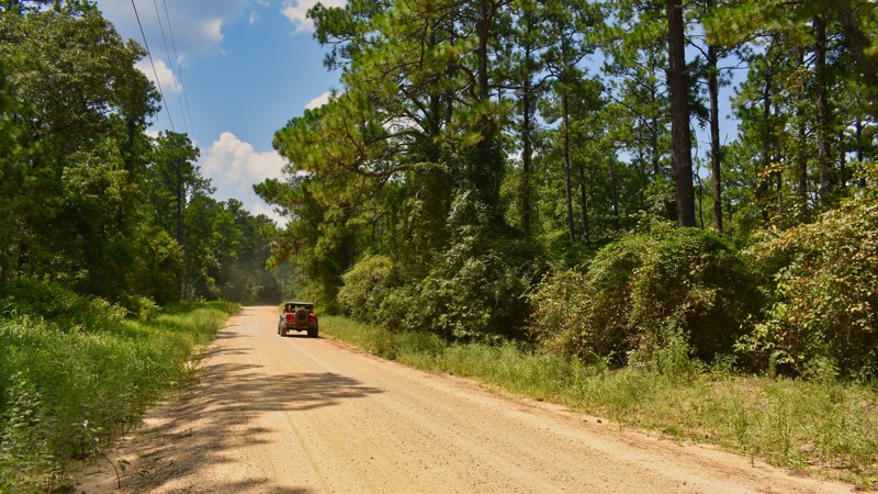 Mississippi: New York Road Hero Photo